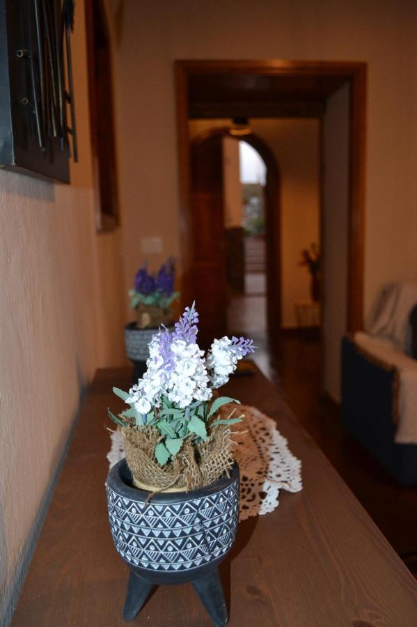 Casa Alamo Agaete Hotel Агаете Екстериор снимка