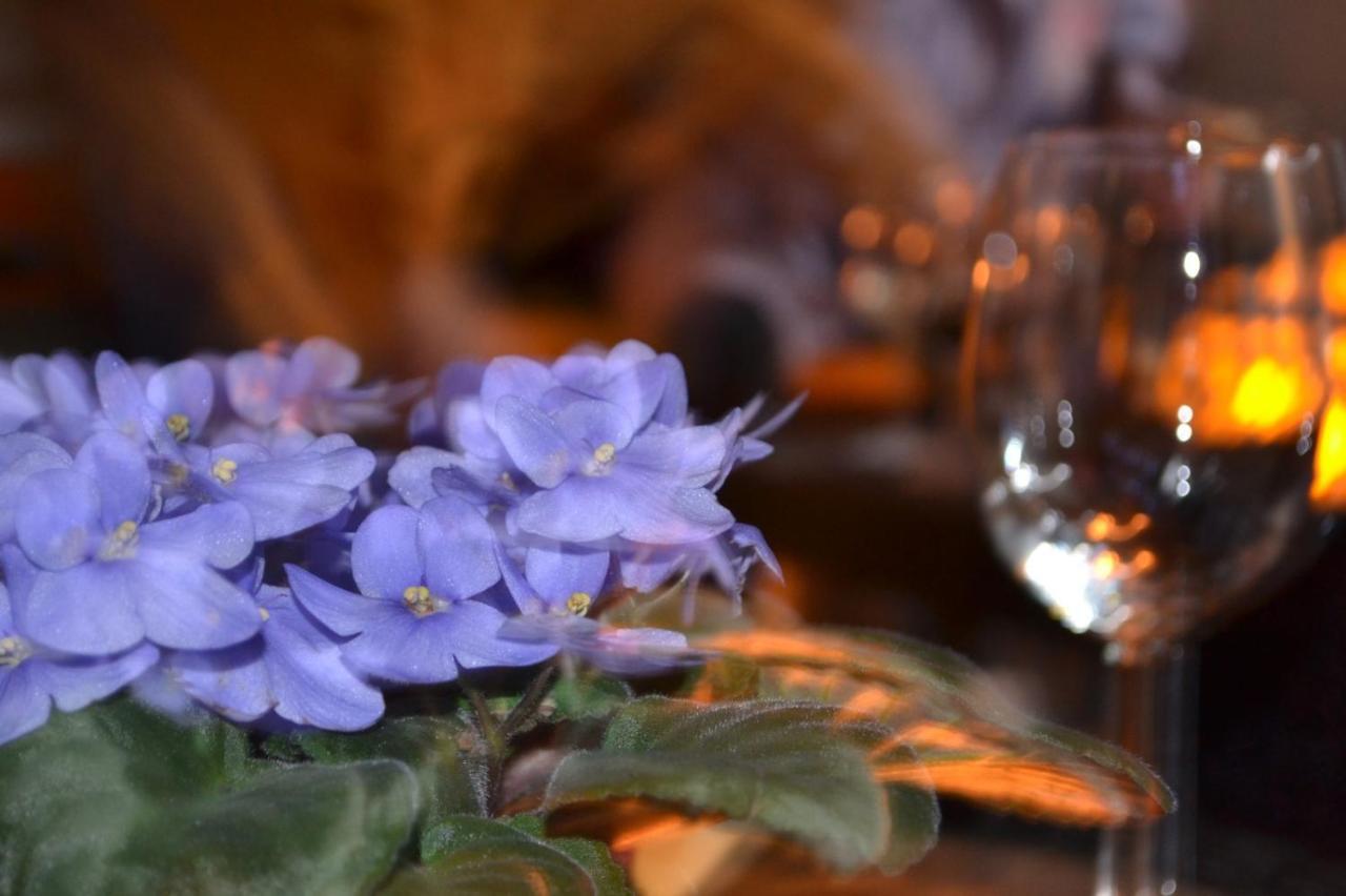 Casa Alamo Agaete Hotel Агаете Екстериор снимка