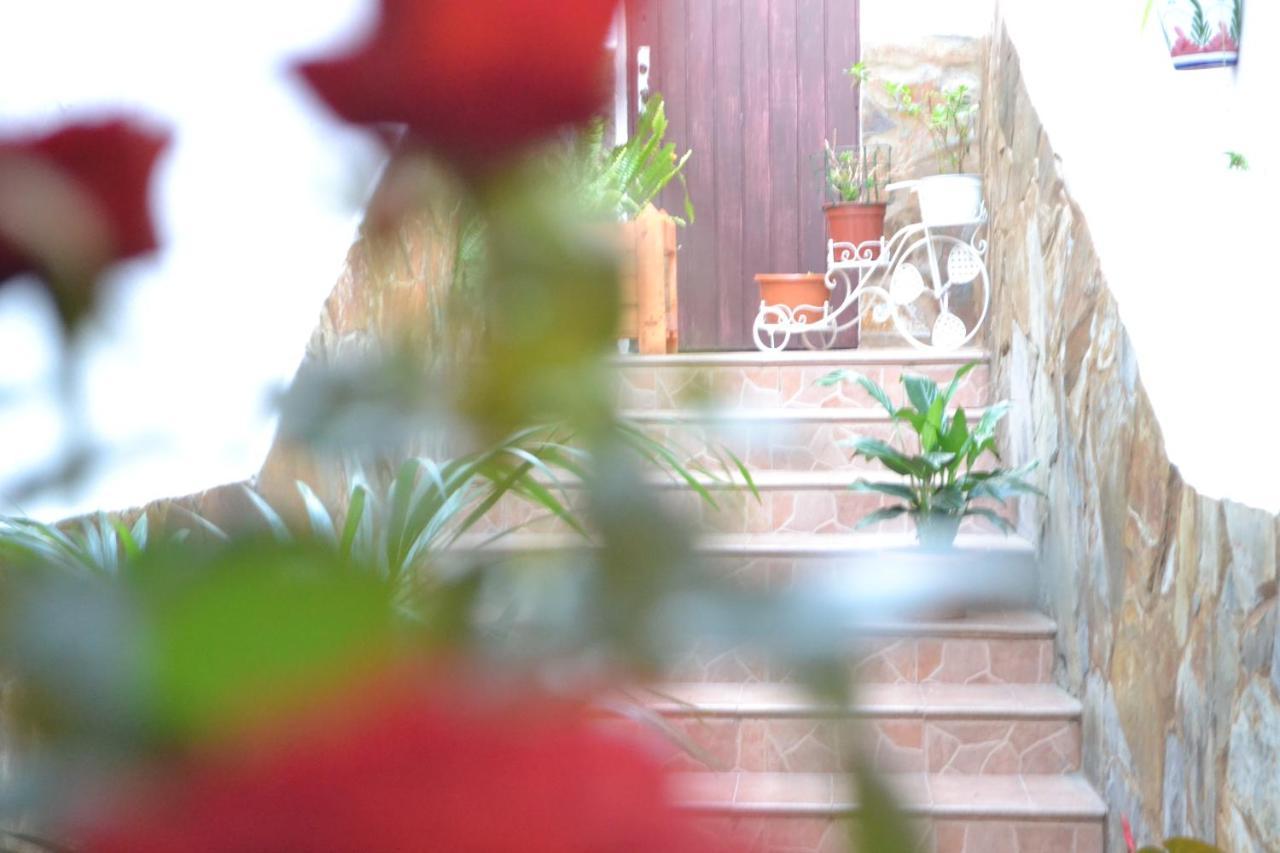 Casa Alamo Agaete Hotel Агаете Екстериор снимка