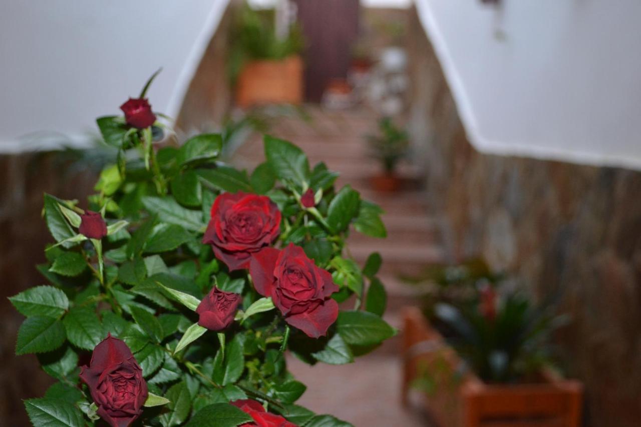 Casa Alamo Agaete Hotel Агаете Екстериор снимка